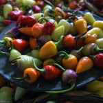 Leniwa niedziela z ... Meksykiem